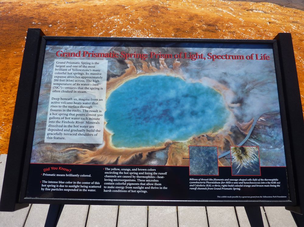 Yellowstone Midway Geyser Basin Grand Prismatic Spring (11).JPG